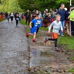 Peter van den Driessche, finish estafette